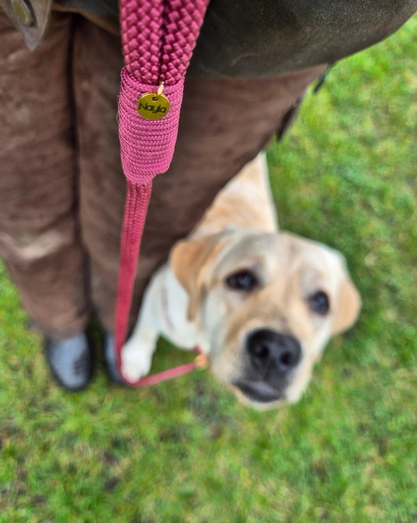 Retrieverline Wine Red