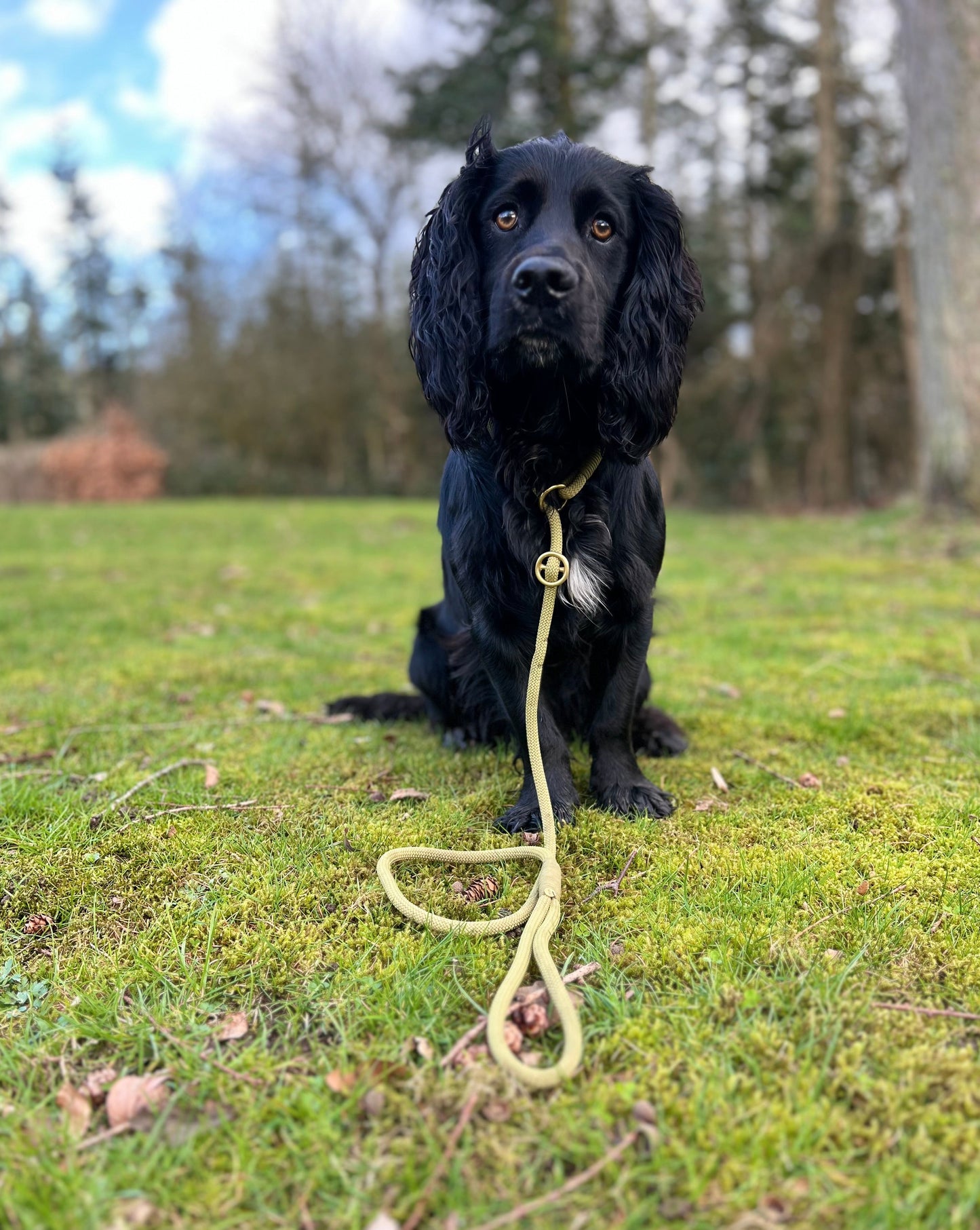 Retrieverline Moss Green