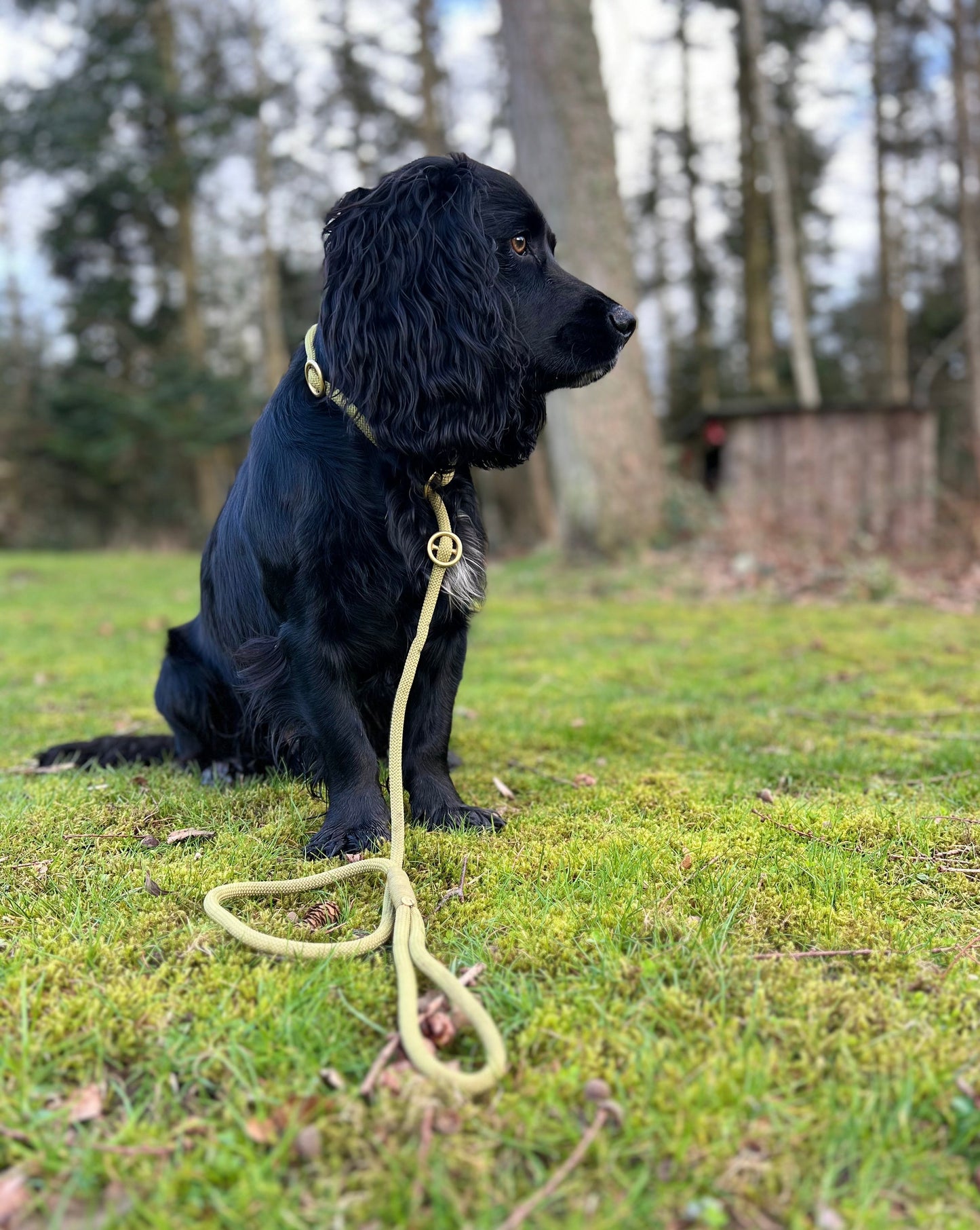 Retrieverline Moss Green
