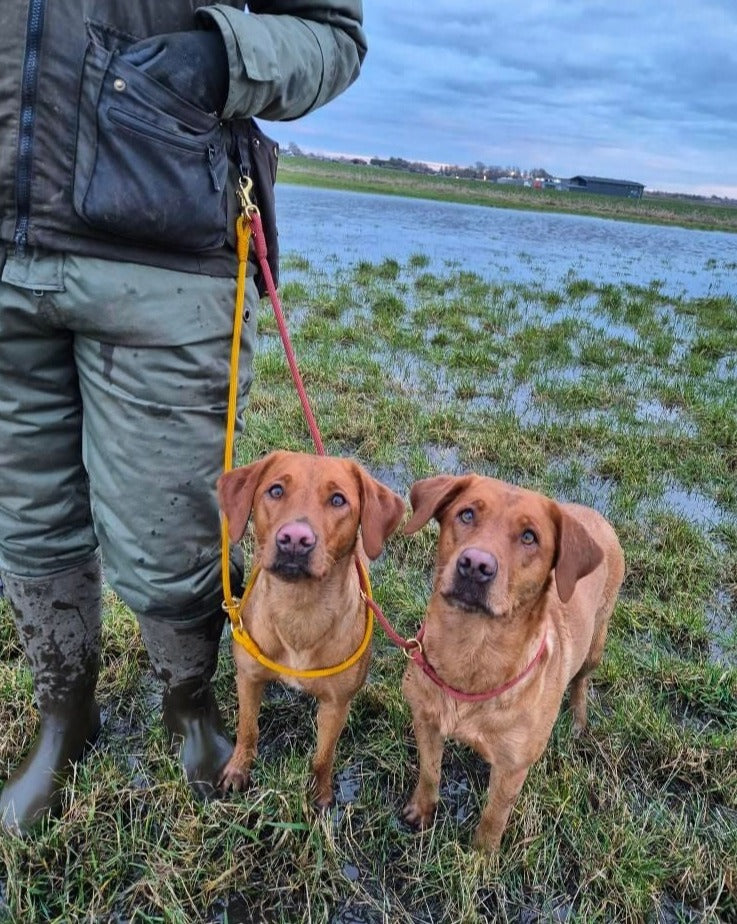 Hands-free retrieverline Bronze Brown