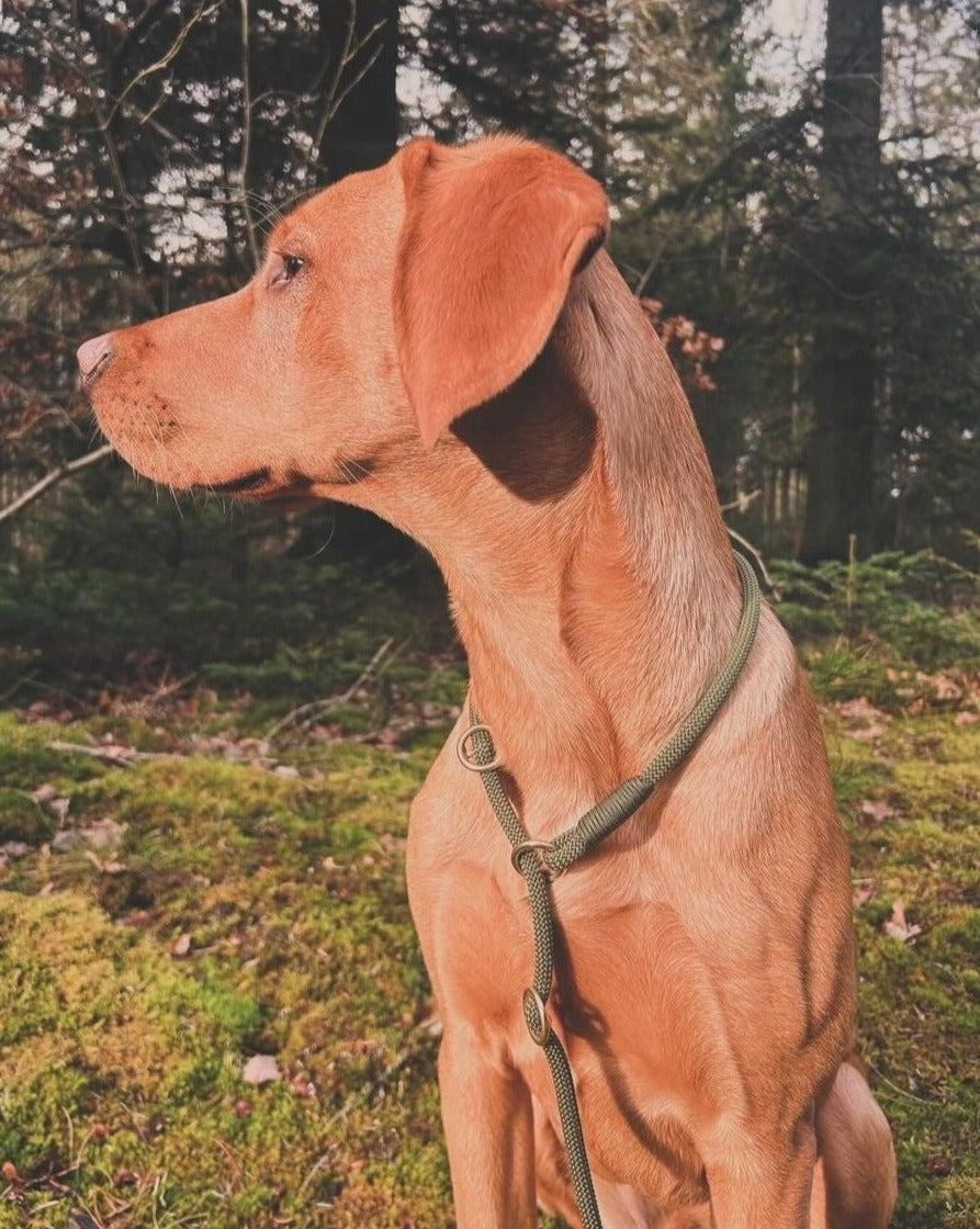 Retrieverline Army Green