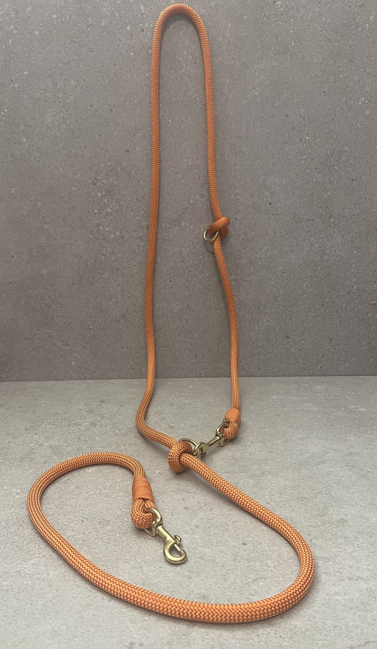 Dressurline Fox Orange