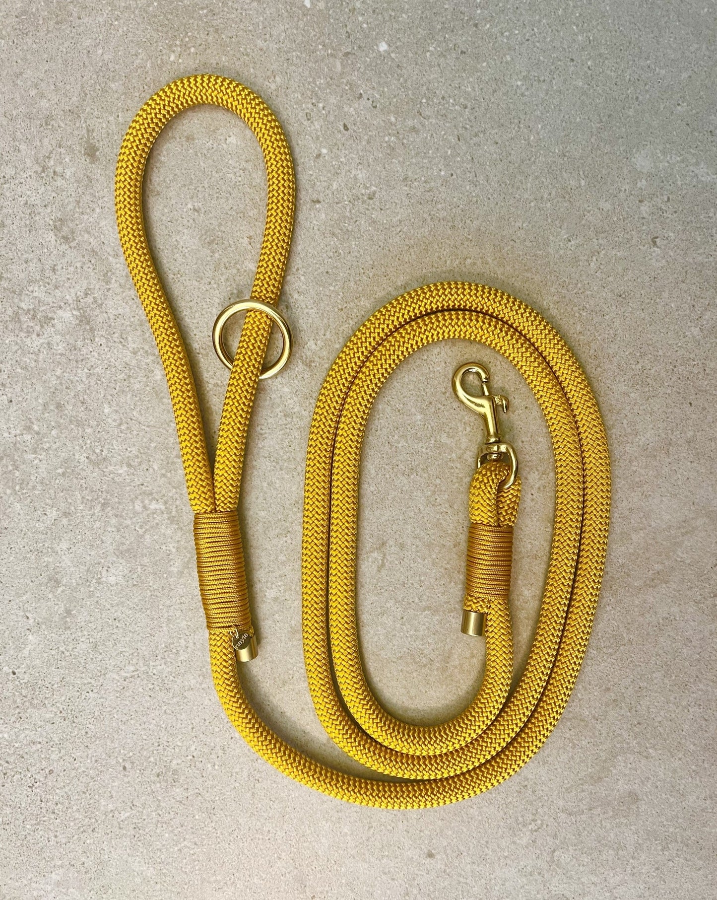 Hundesnor Golden Rod