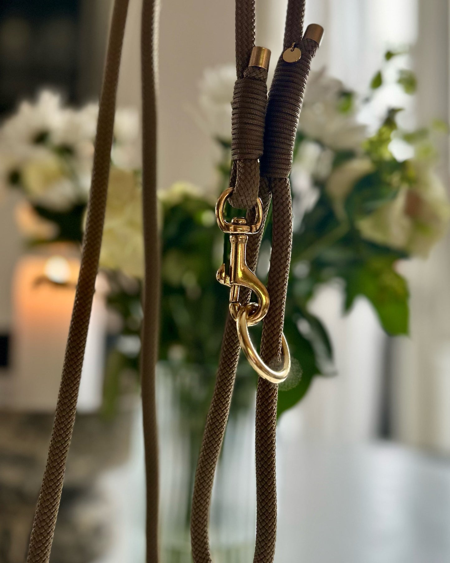 Hundesnor Coyote Brown