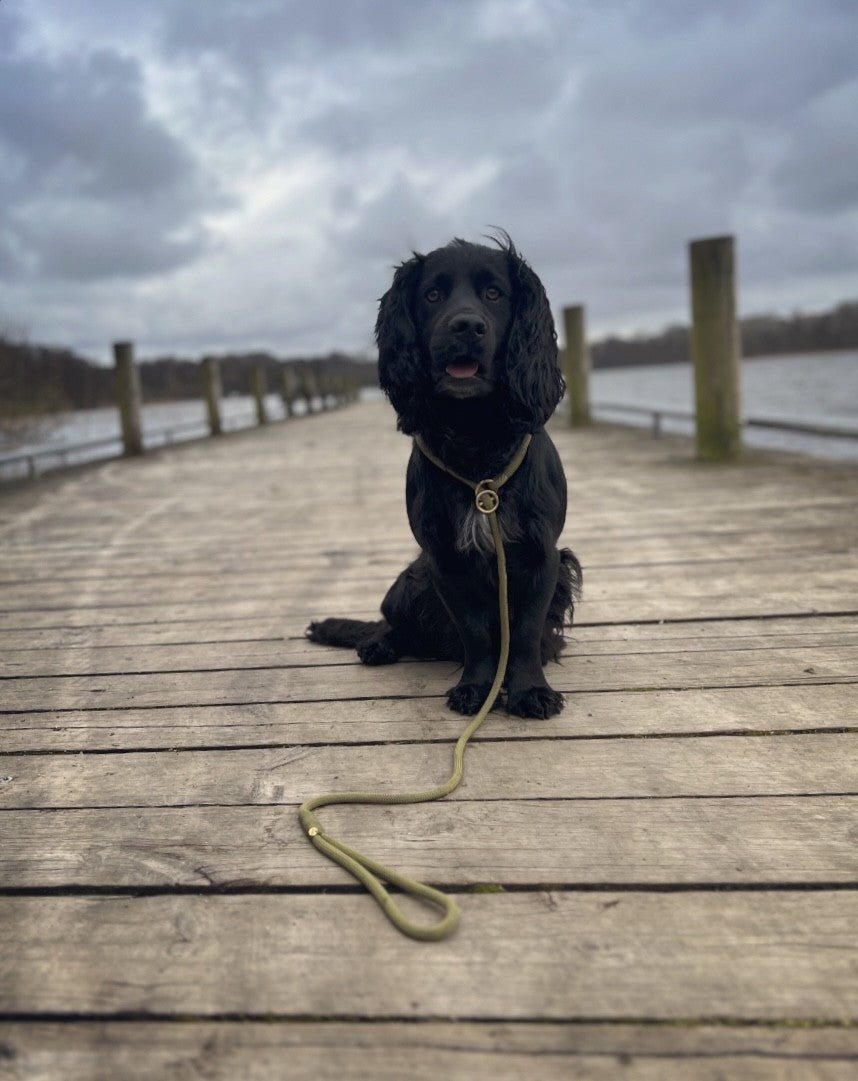 Retrieverline Moss Green