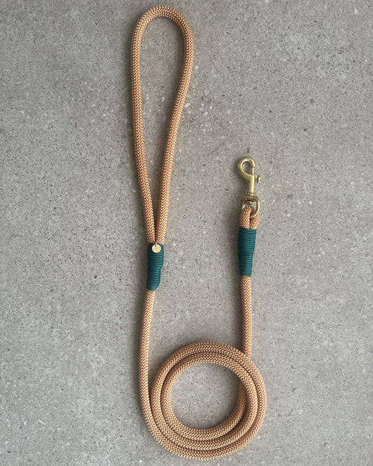 Hundesnor Golden Copper/Seaweed