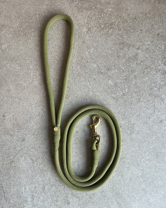 Hundesnor Moss Green