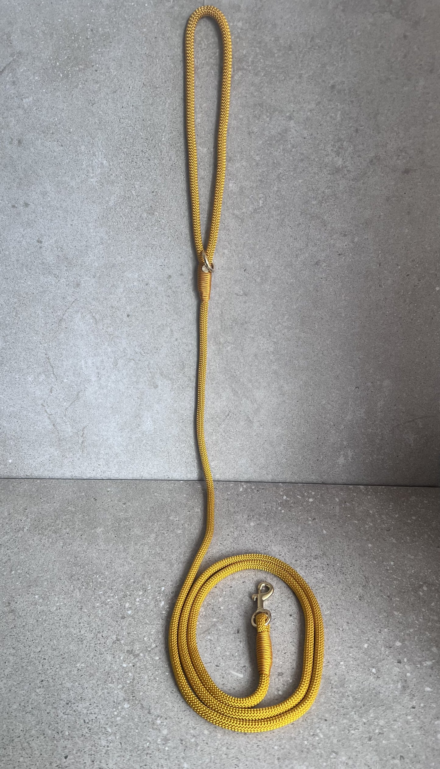 Hundesnor Golden Rod