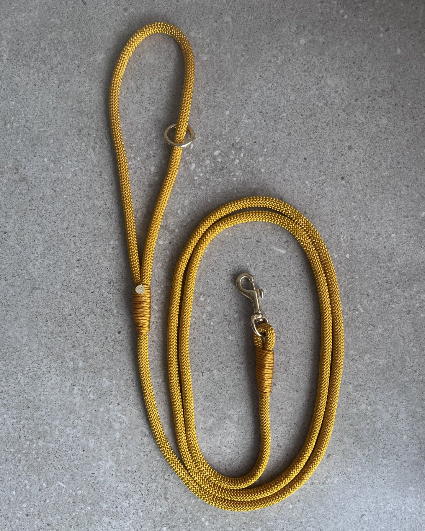 Hundesnor Golden Rod