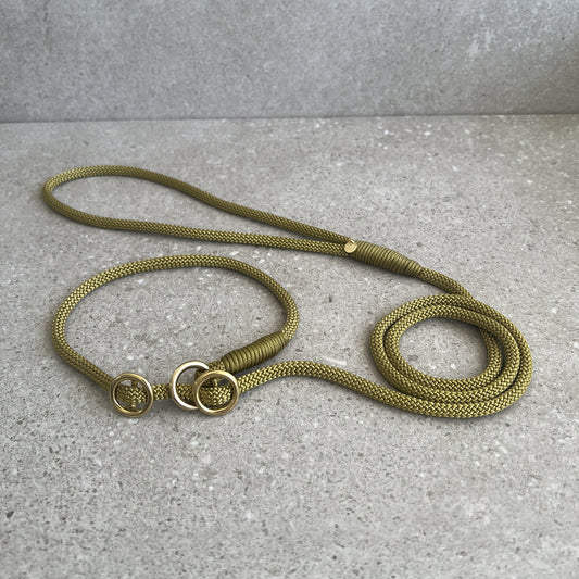 Retrieverline Ancient Gold