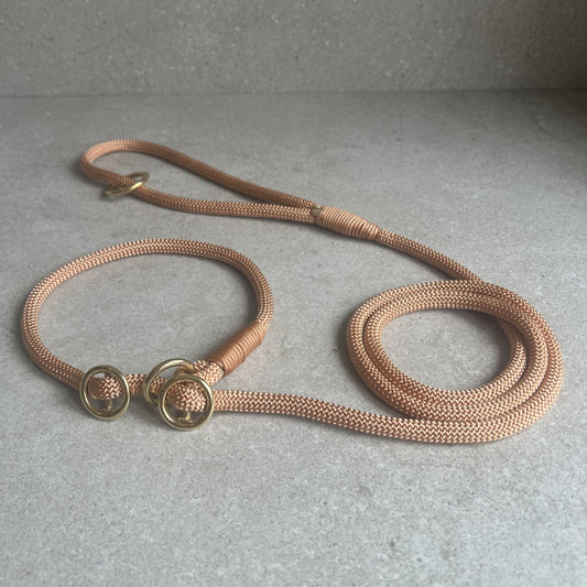 Retrieverline Golden Copper