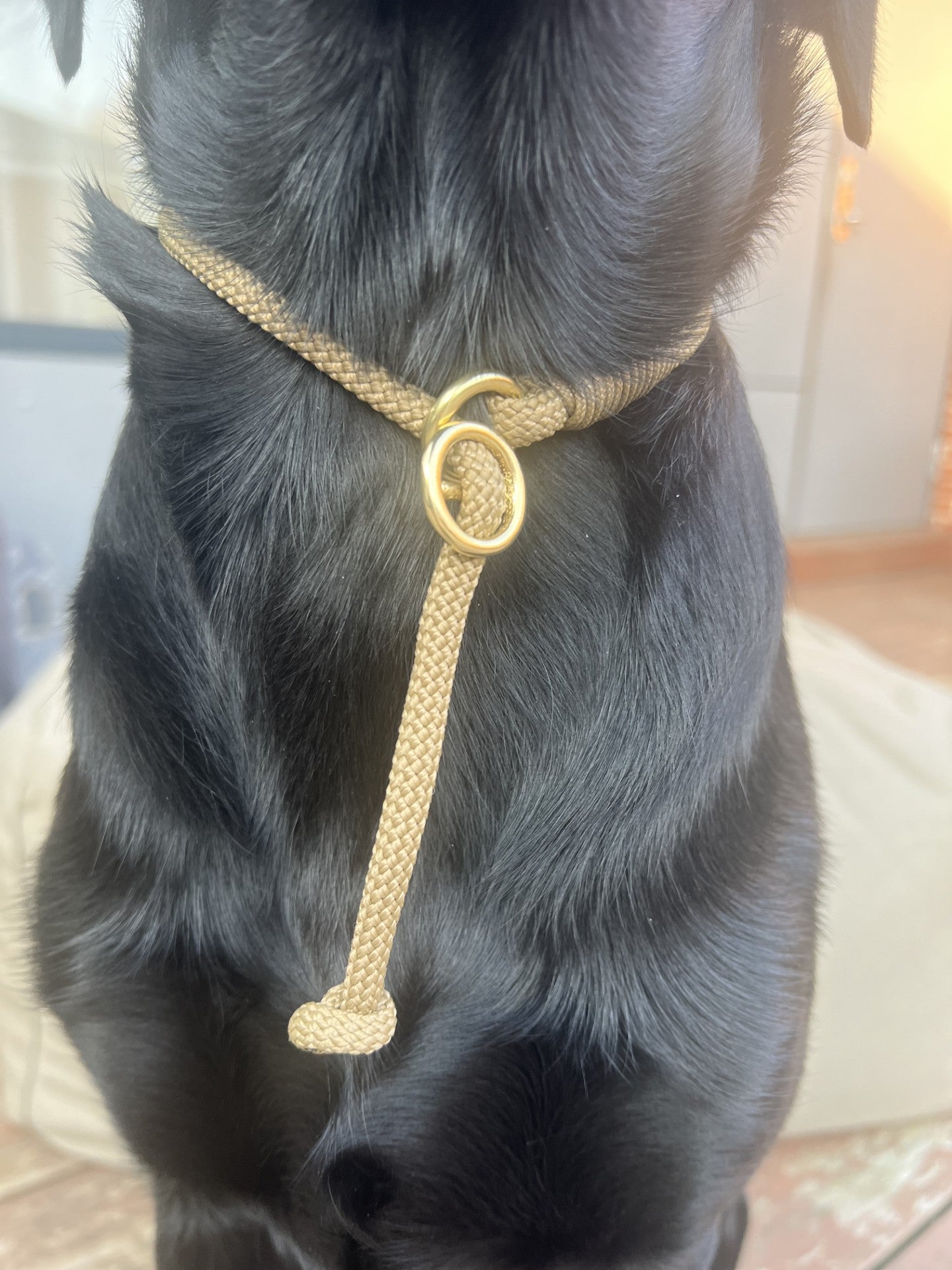 Shortgrib line Coyote Brown