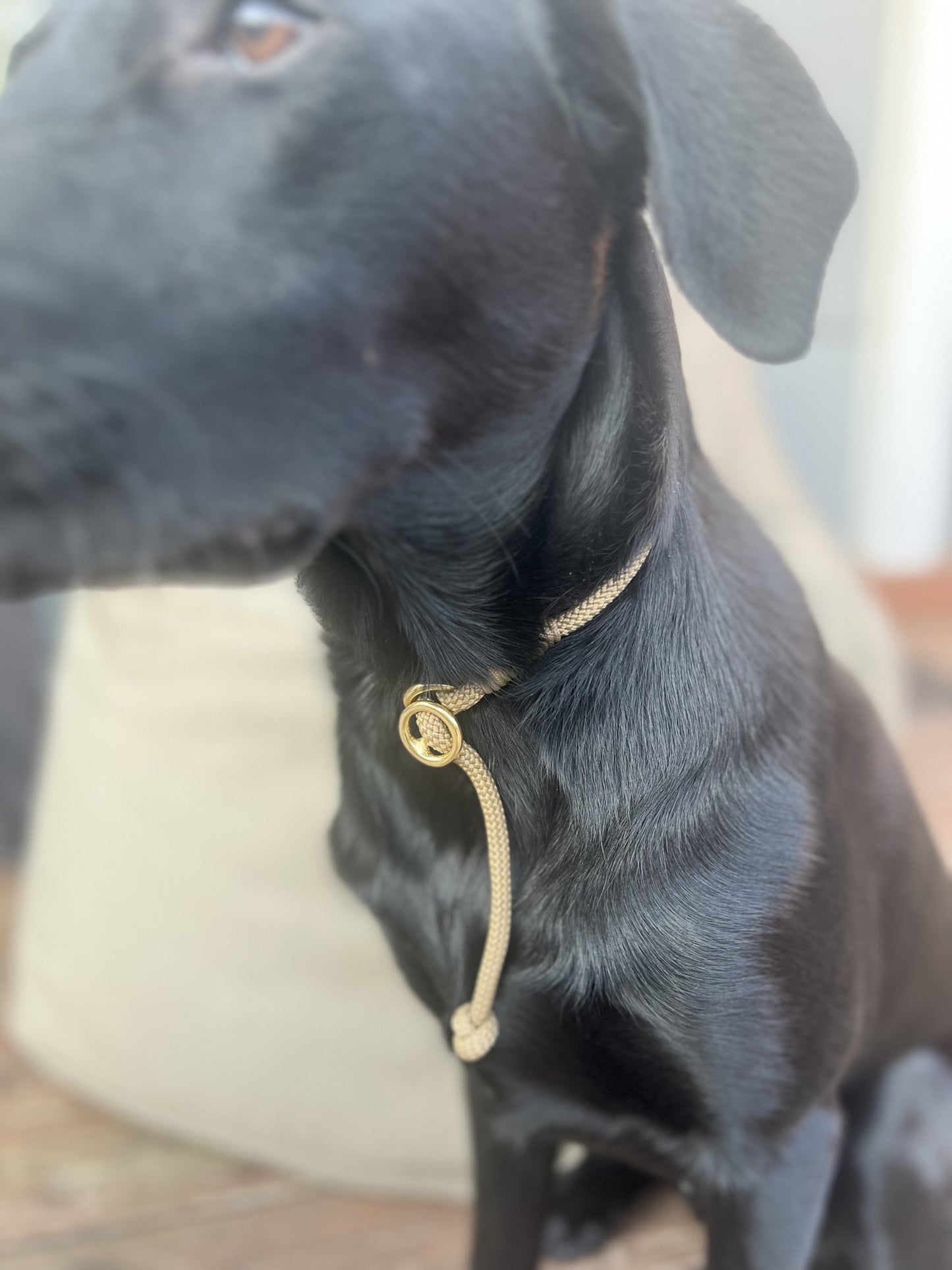 Shortgrib line Coyote Brown