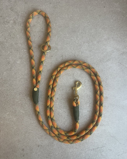 Hundesnor Autumn Blaze/Army Green
