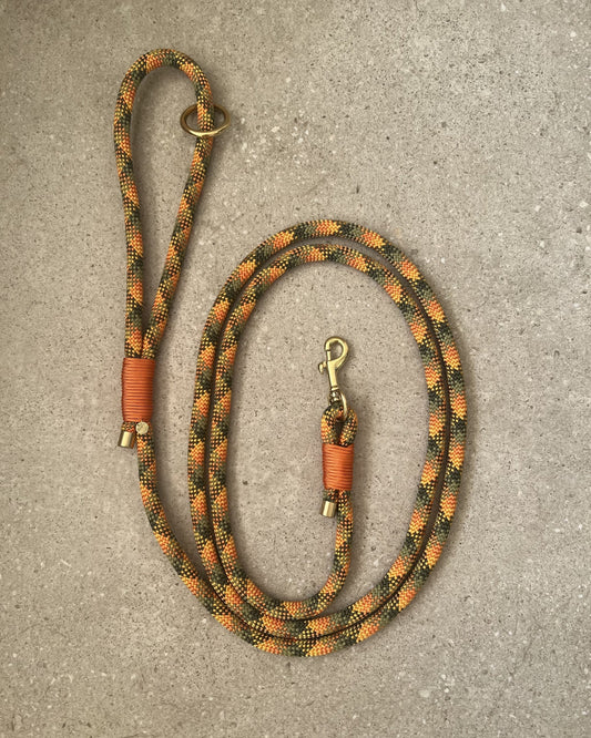 Hundesnor Autumn Blaze/Fox Orange