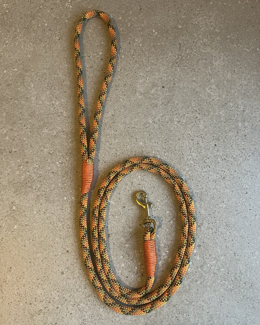 Hundesnor Autumn Blaze/Fox Orange